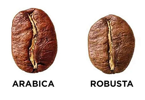 Did you know not all coffee beans are created equal?