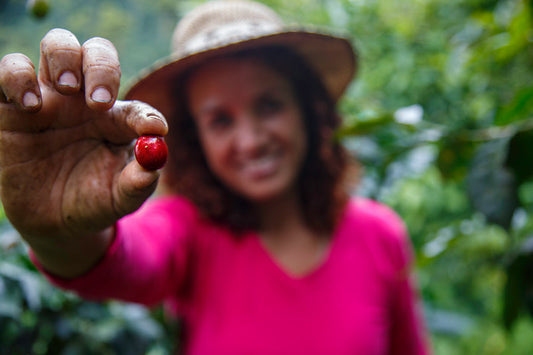 Coffee Isn’t a Bean—It’s a Seed (and Altitude Makes It Taste Better)